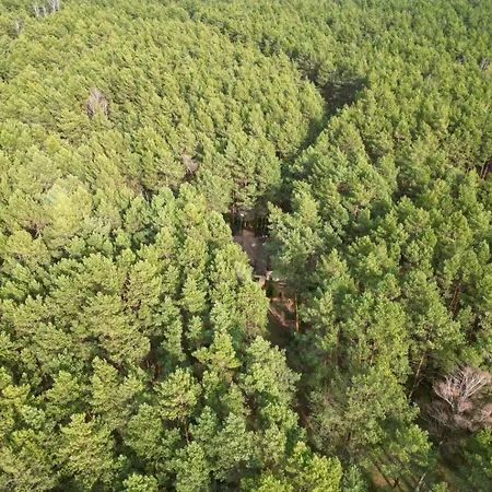 Forest Hub Popowo *